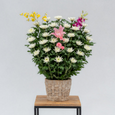 埼玉供花19,800円