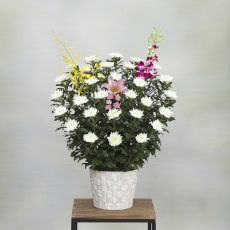 埼玉供花17,600円
