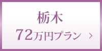 栃木72万円プラン